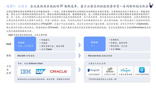 初心資本2021中國企業(yè)服務(wù)新趨勢報(bào)告 軟件開發(fā)行業(yè)洞察與展望